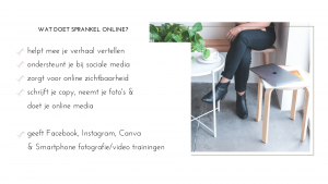 Sprankel Online ondersteunt