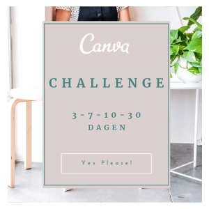 Challenge Sprankel Online