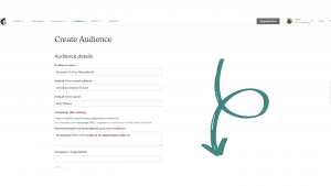 Mailchimp - Create Audience 2 (1)