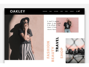 wordpress themes webshop