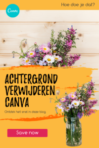 Achtergrond-verwijderen-Canva