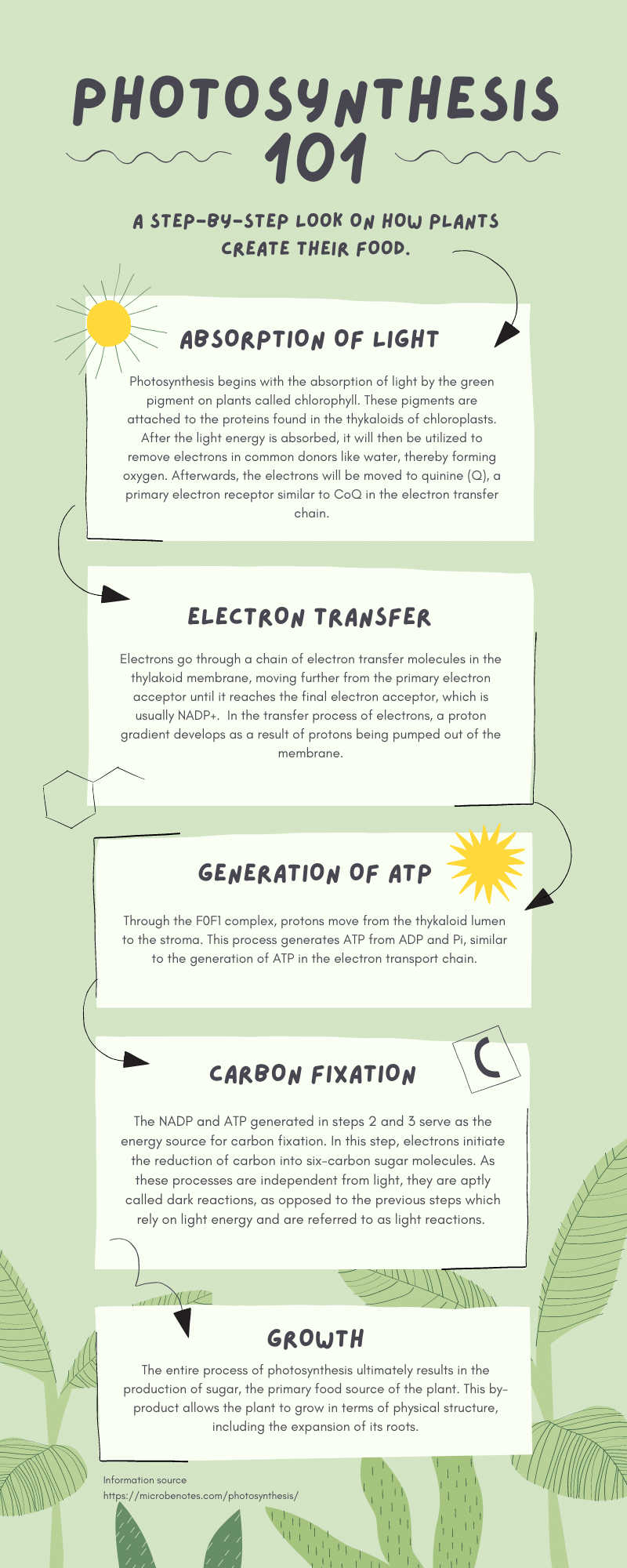 canva education infographic