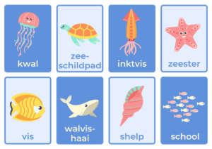 Woordkaarten Zeedieren