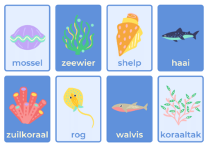 woordkaarten zeedieren