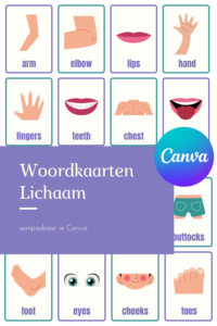 woordkaarten lichaam flitskaarten