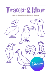Traceer en Kleur Werkblad Kleuters Groep 1 Vogels Dieren